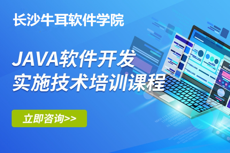 Java软件开发