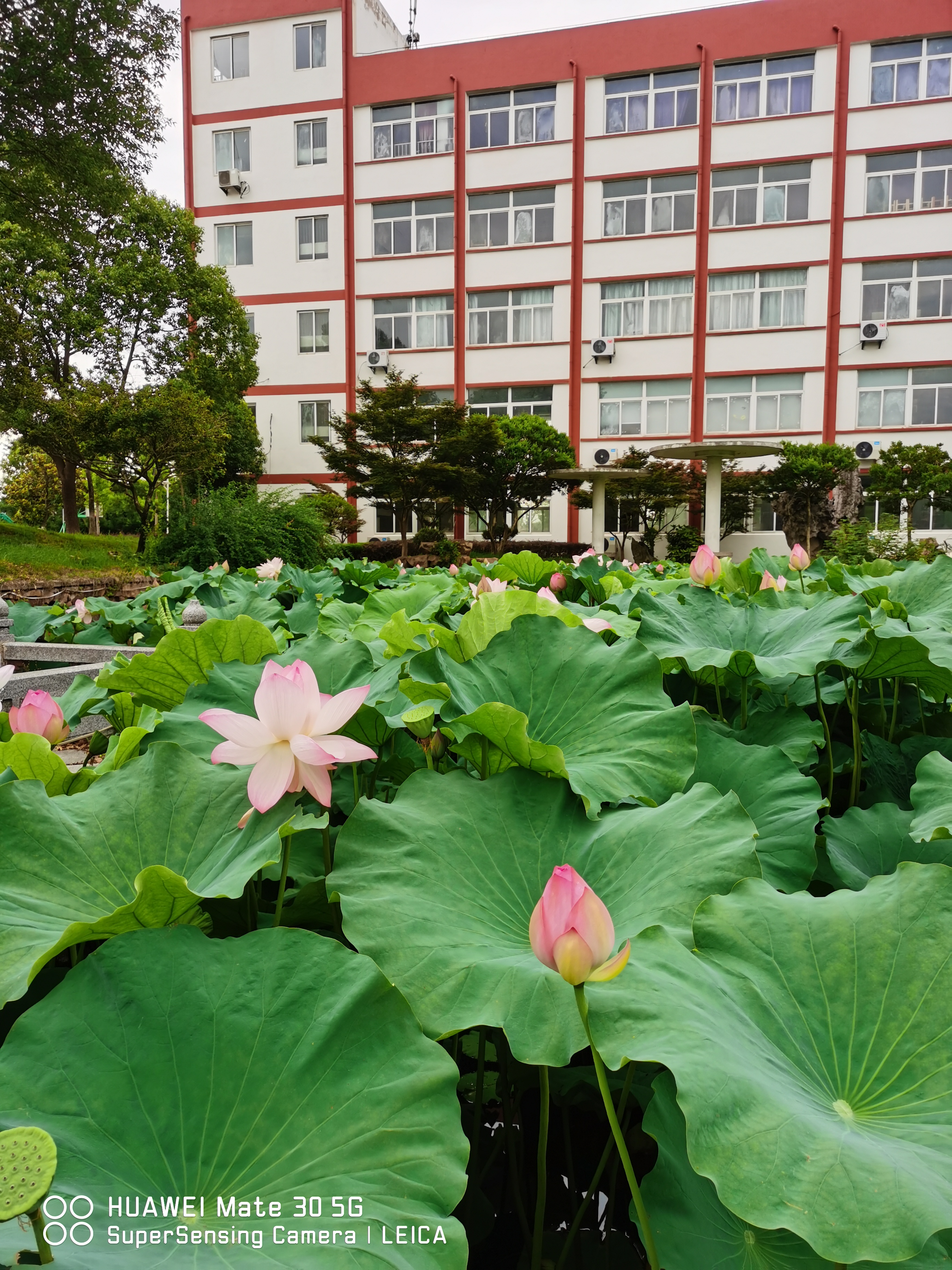 学校环境