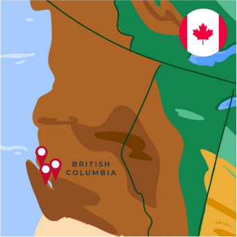 百年学院Centennial  College 出国留学申请