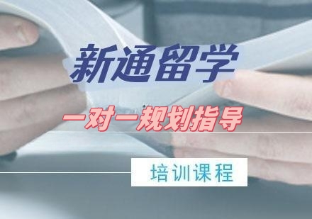 新通留学一对一申请规划指导课