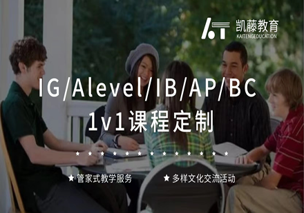 IGCSE/ALEVEL/IB/AP课程一对一