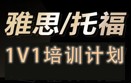 雅思/托福一对一计划