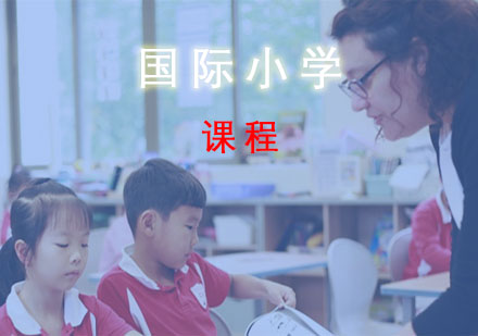 国际小学课程