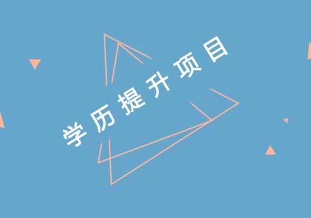 学历提升项目