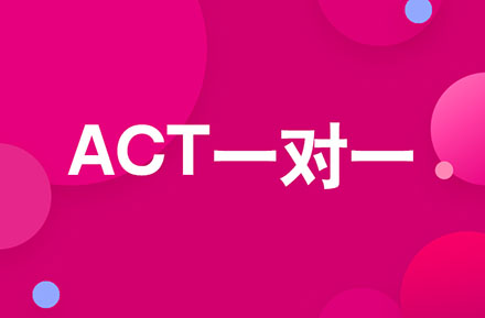 ACT一对一