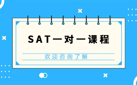 SAT一对一课程