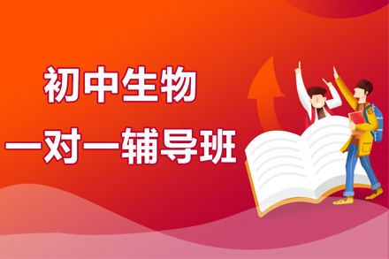 初中生物一对一辅导班