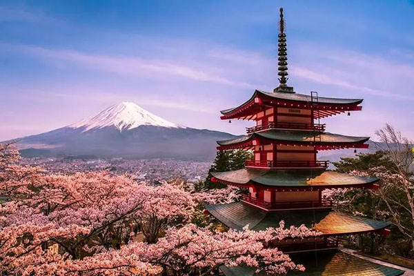 为什么越来越多的人选择日本美术留学？