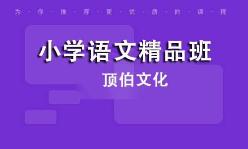 小学语文精品班