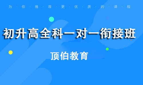 初升高全科一对一衔接班
