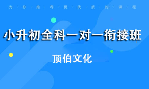 小升初全科一对一衔接班