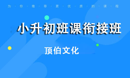 小升初班课衔接班