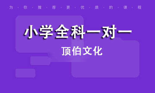 小学全科一对一