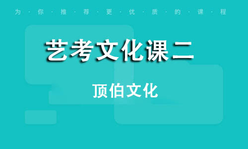 艺考生文化课二