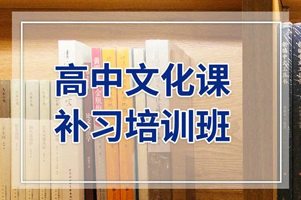 高中文化课辅导机构哪家好？文化课辅导需要注意的事项