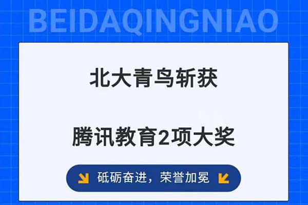 砥砺前行，荣誉见证！北大青鸟荣获两大奖项，为教育行业树立新标杆！”