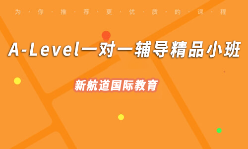 新航道A-Level一对一辅导精品小班