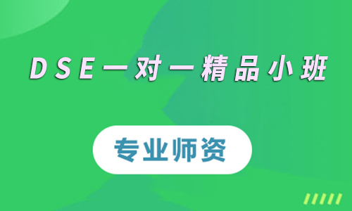 新航道DSE一对一精品小班课程