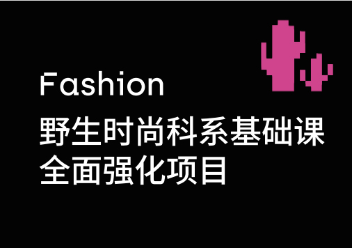 野生时尚科系基础课全面强化项目